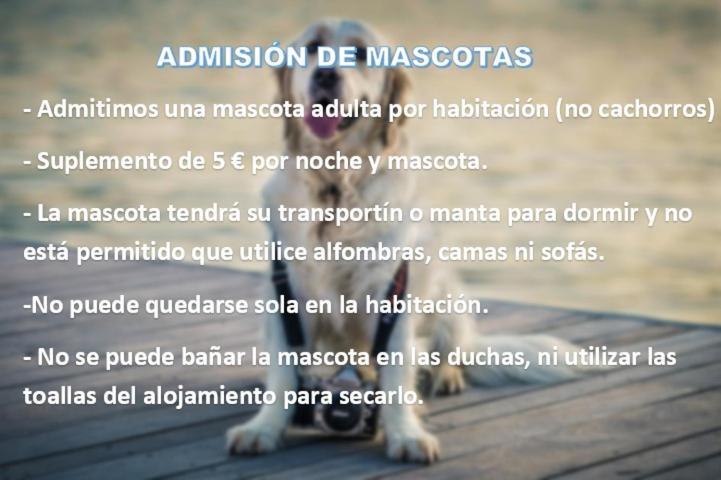 Hospederia Externa Del Monasterio Hotel Samos Ngoại thất bức ảnh